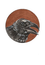 Raven
Original Available
Ink and Metallic Acrylic
5 x 7"